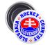 Magnetka Slovakia Hockey Country